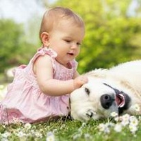 泰国试管婴儿囊胚培养有4大优势，成功率更高才是根本