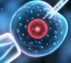 合肥地区有哪些私立的机构可以做试管技术？三代试管婴儿的详细流