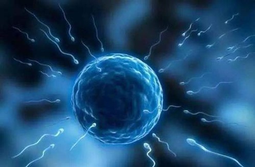 深圳市做试管婴儿哪家医院好？