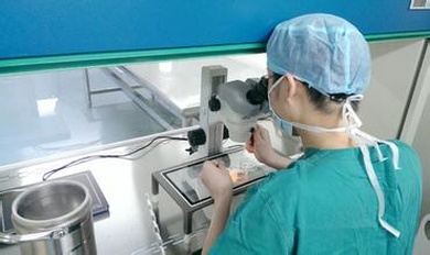 福建厦门助孕机构要怎么选择？这五家机构技术都比较靠谱